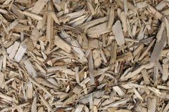 biomass boilers Shiplate