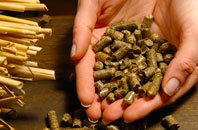 Shiplate pellet boiler
